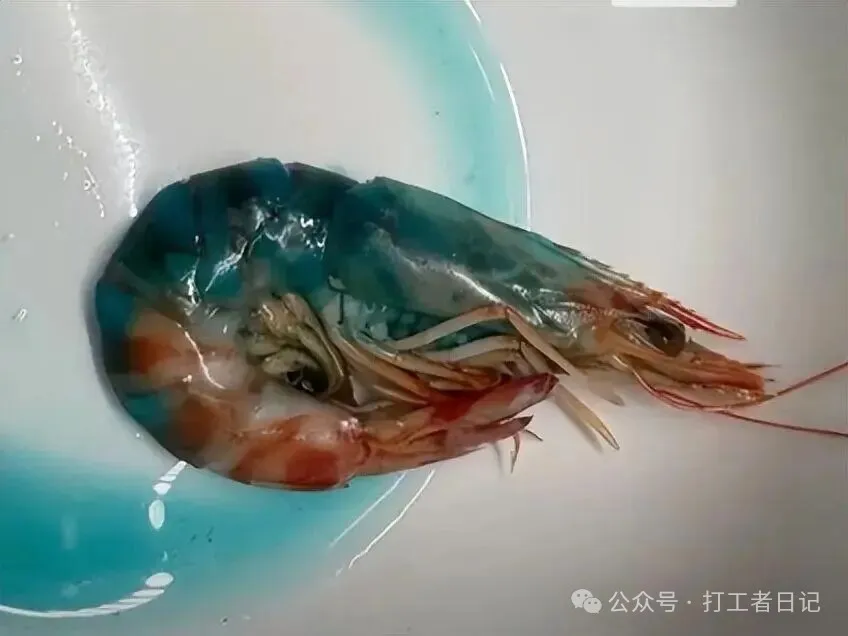 诡异蓝虾吓人！客服：不影响食用，处理太儿戏！食品安全别敷衍！