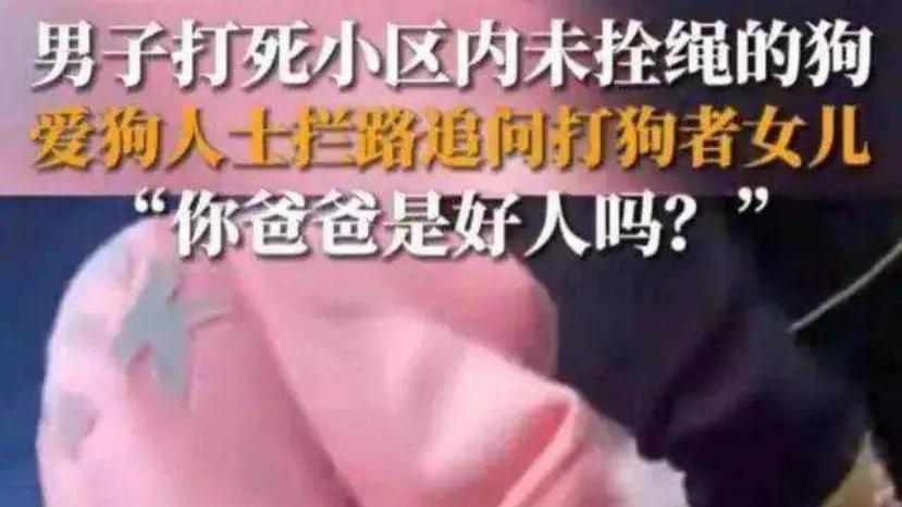 女子当街踹倒地老人新闻热度不如虐狗？背后的故事让人暖心