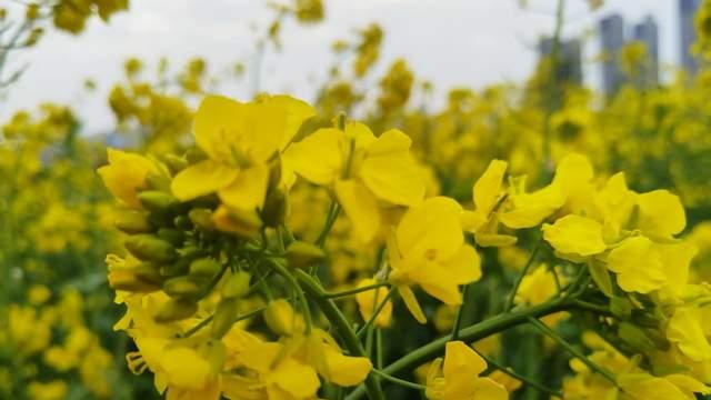家长真的不要太操心孩子，多关注自己少关注孩子，尊重每个人命运