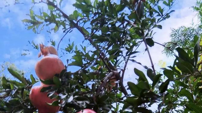 扎心！农村二三代已无形中陷入到天伦绞杀局，已无回头路了！