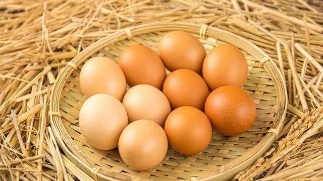 我家养的母鸡很爱下蛋