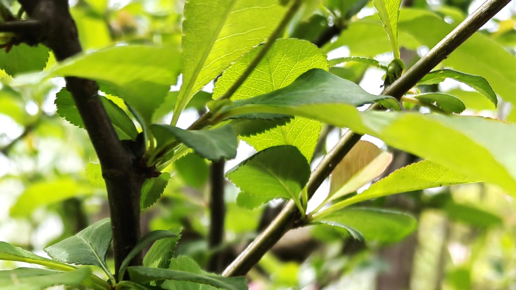 慷慨大方，需要底气