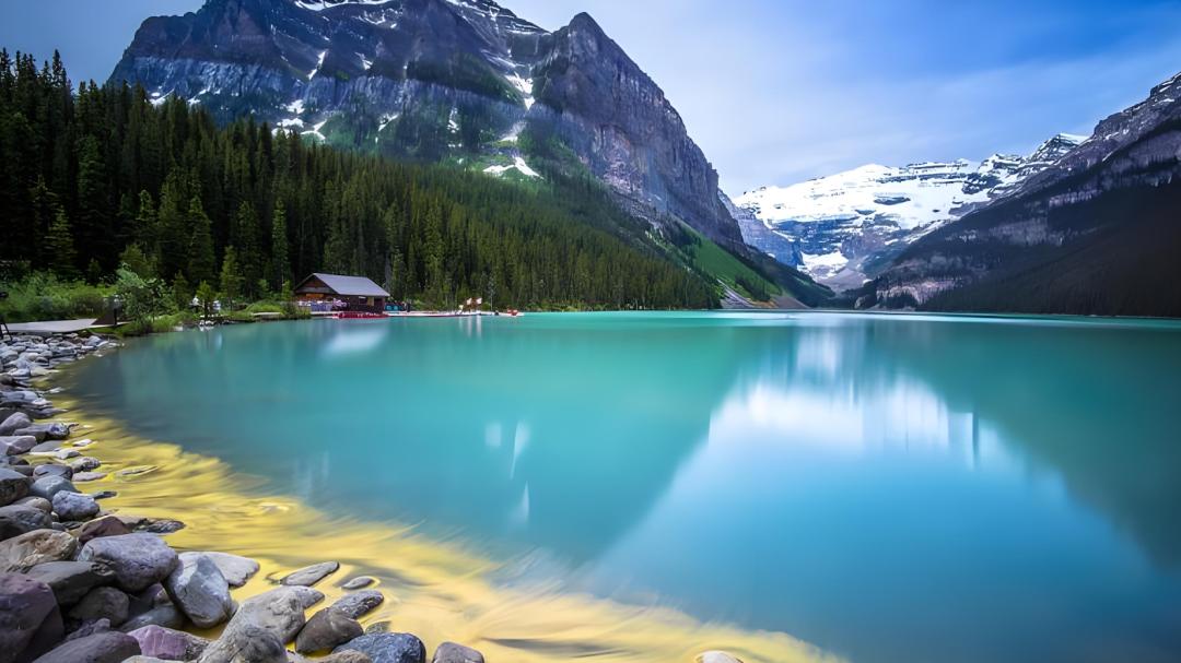 废掉一个人最快的方式：让他一直“努力”