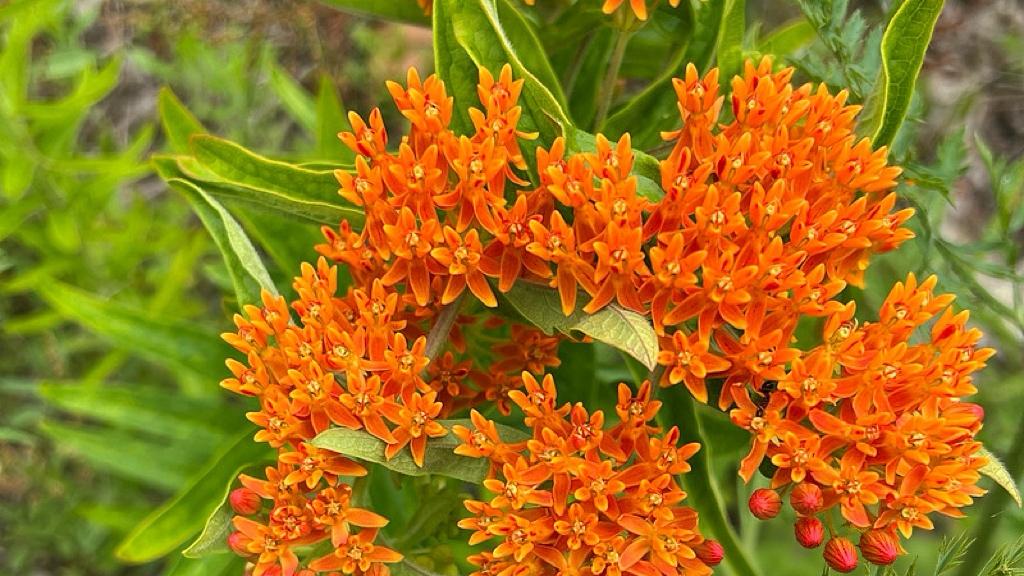 IPO缩量退市提速，A股在“换血”