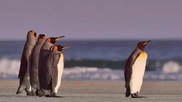 接受反馈的修行：管理者如何成为一个“可被教练的人”？