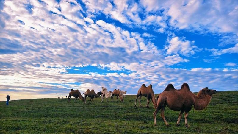 院士荣誉都能公开买卖，必须要严惩
