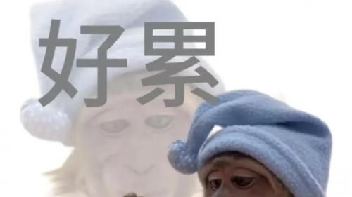 寒假通知、家长信签名、作业打卡......接龙管家助力老师轻松搞定寒假事务