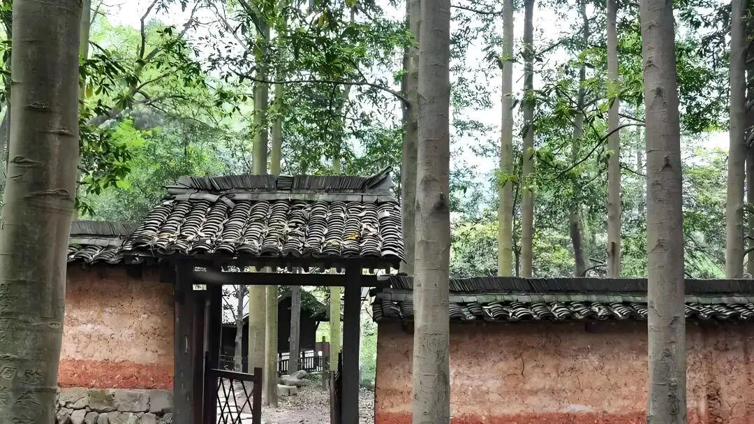 七律·老来贫居遣怀