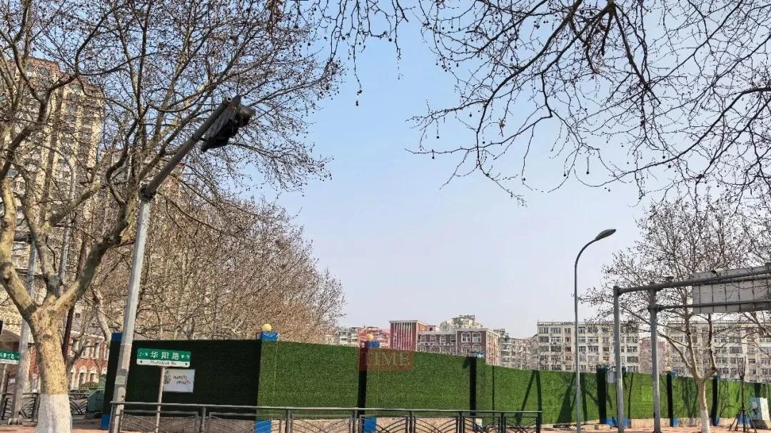 青岛官方主动“降容”，图啥？