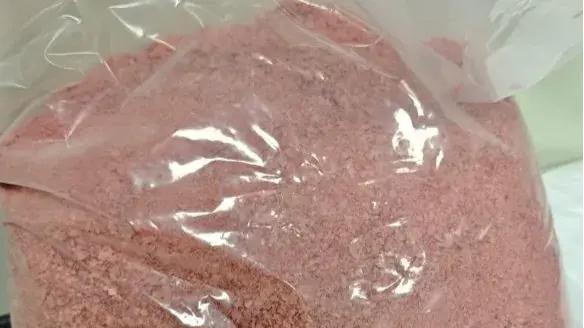 真空冷冻干燥技术在菌泥冻干中的应用