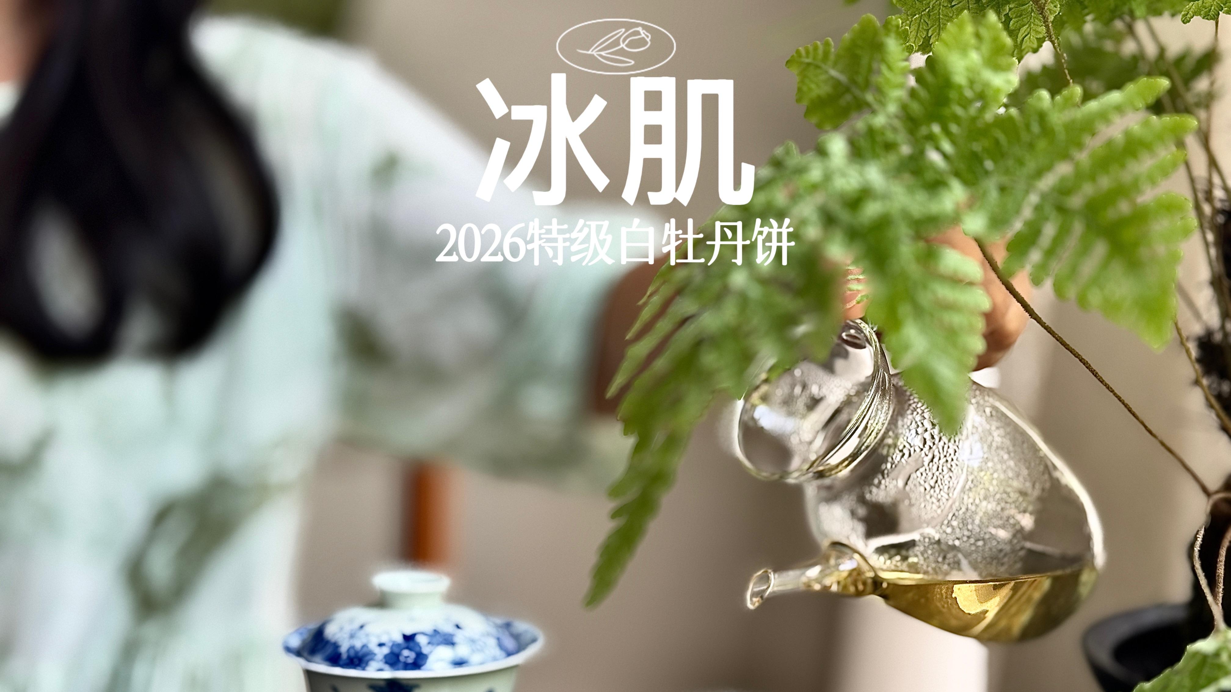什么是“特级白牡丹”，它的好处有哪些，如何冲泡，一次性讲清楚