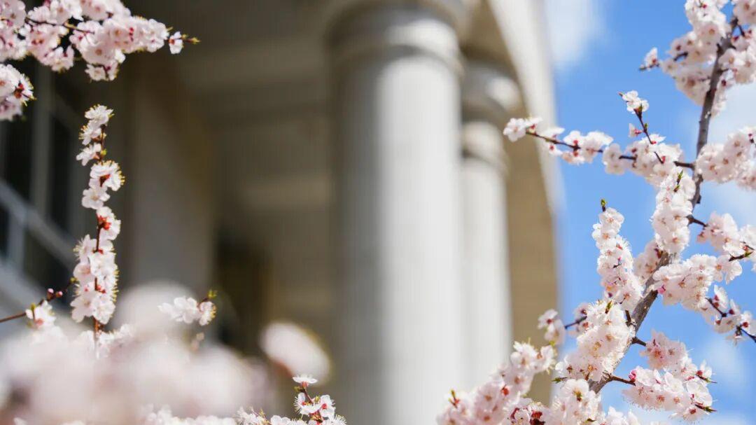 想学理科怎么选？哈尔滨工业大学为何备受欢迎？