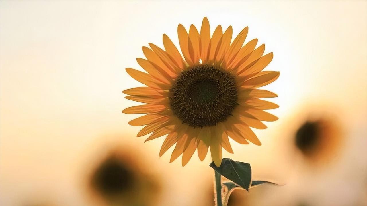 如何让他眼里只有你？三个关键点，很多女人都忽略了