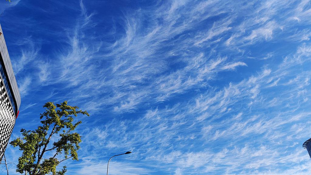 势利人古今都有