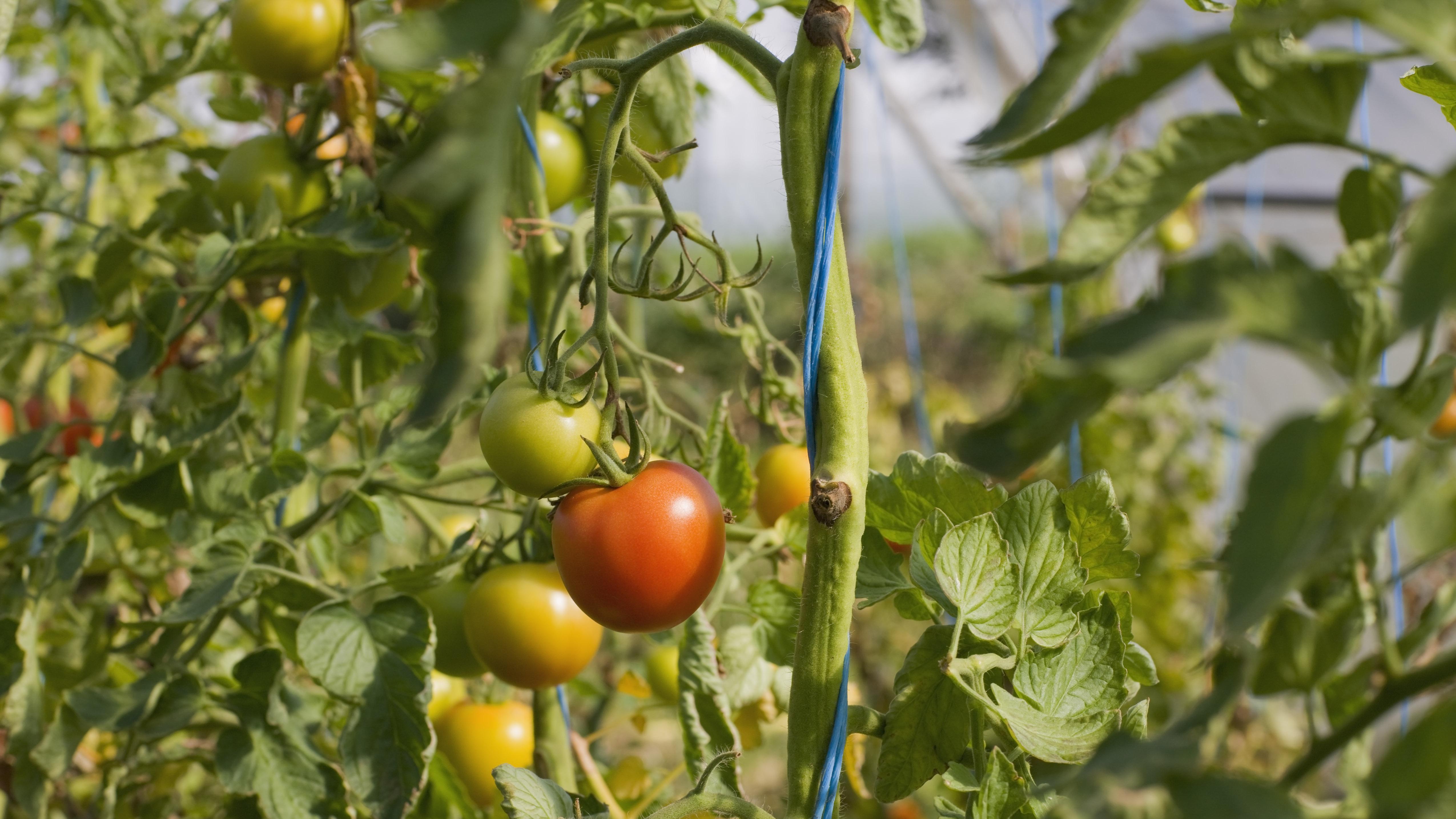 一个数字背后，藏着中国经济最硬的底气