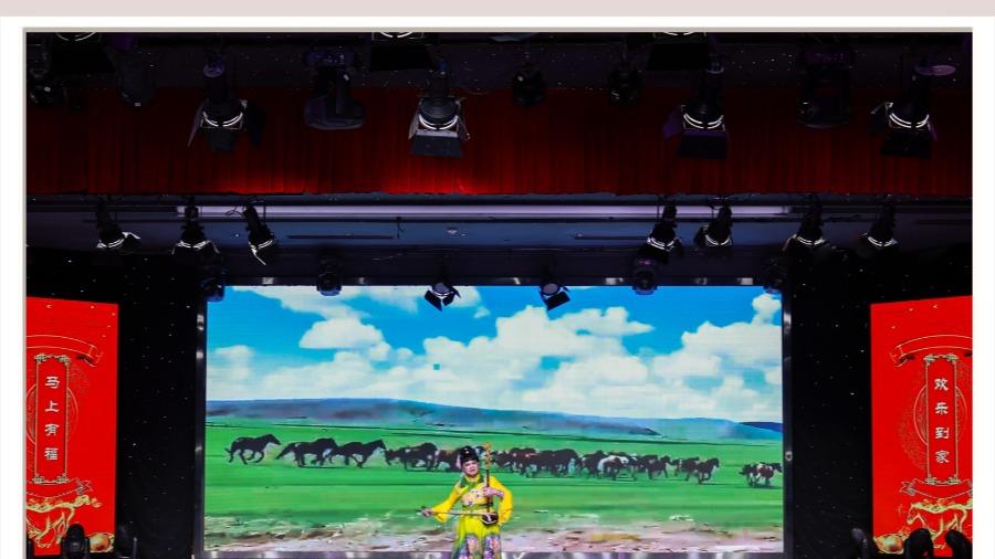 博网文化艺术联盟新春盛典成功举办——携手共绘文化繁荣新篇章