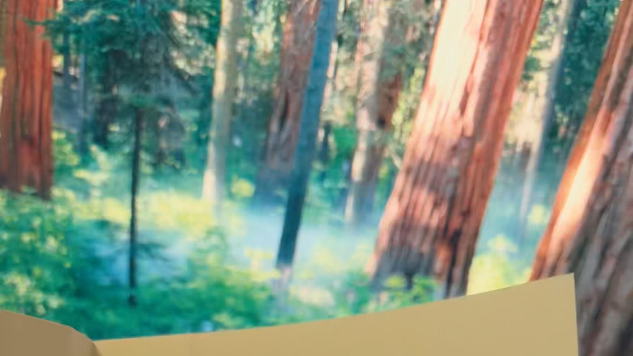 真正的勇气，是在看清生活荒诞后，依然选择活下去，并尝试去爱