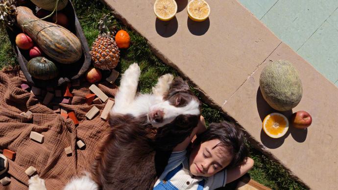 为什么越来越多人直接冲1TB折叠屏？OPPO Find N6这次踩中了真实需求