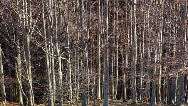 纤维纸袋防水防潮防油电子配件数据线芯片五金精密配件可堆肥包装