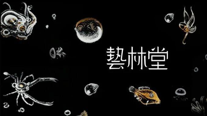 溟知海｜深海星河之间，辽阔自见