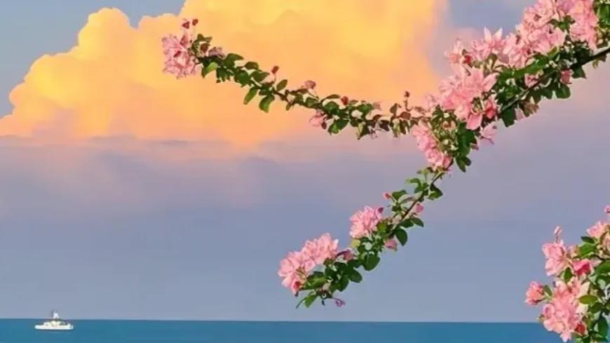 人到中老年，善良须有锋芒