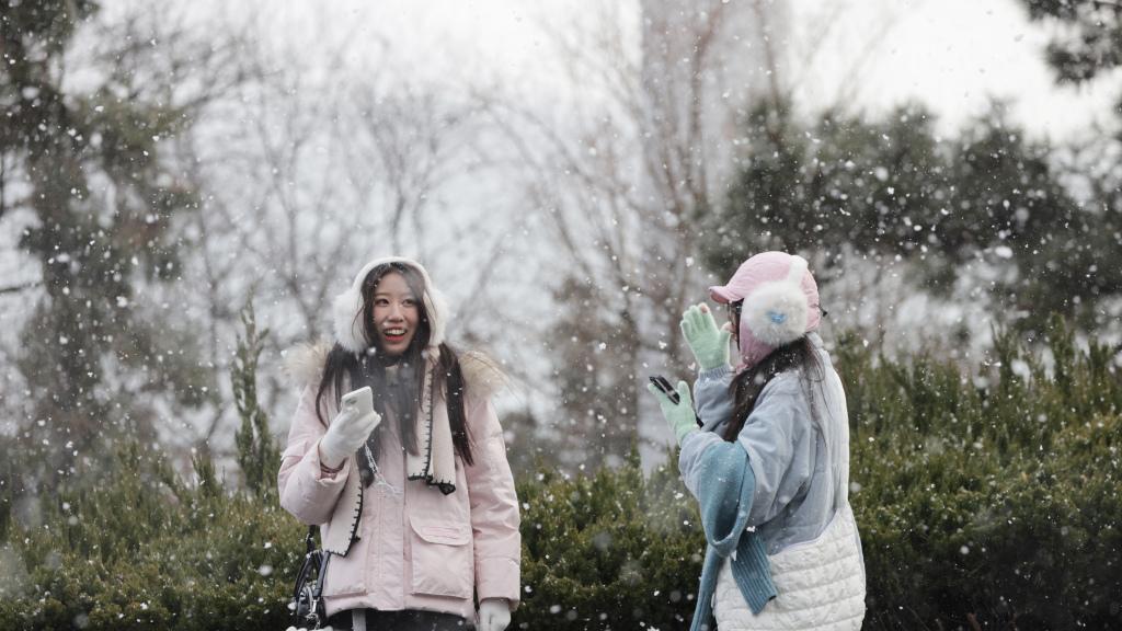 青岛：雪花飘，游客醉
