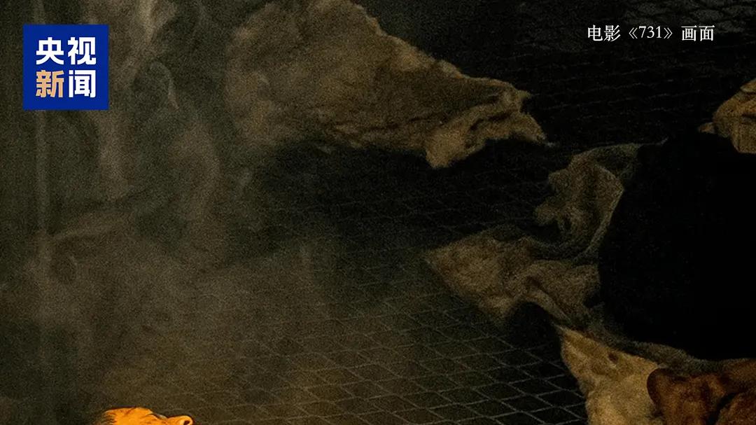 恶意将缅北与731进行比较，这种谬论可以休矣