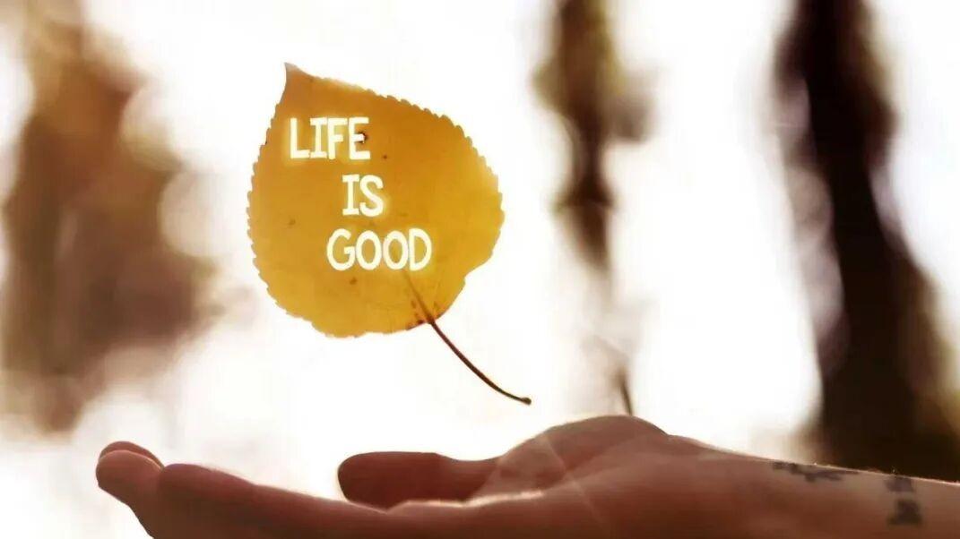 从体重回升到肝硬化，老郑与毕医生的8年HIV治疗认知之路