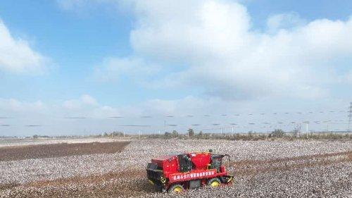 钵施然新能源采棉机，开启棉花绿色征程