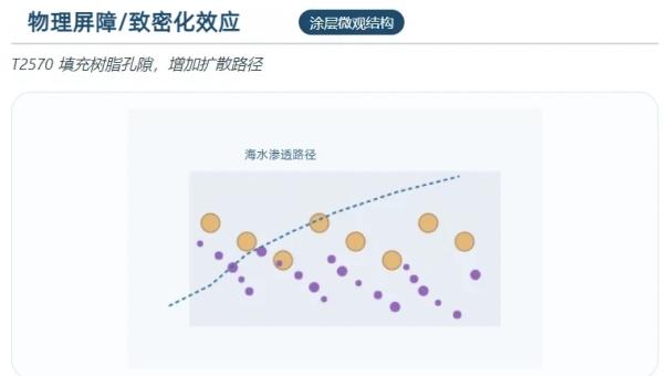 海洋防污技术新路径：以T2570锌基异构体实现铜离子释放的精准协同与控制