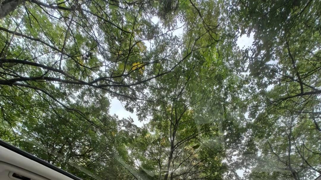 救命！极氪7X把我拽进家庭出游美梦里啦