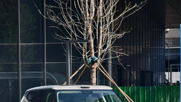 这车现在卖二手的都在加价收 什么情况这是？