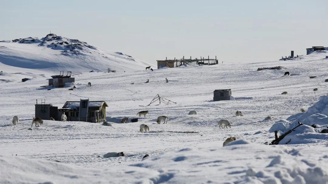 乌克兰自诩是“欧洲文明的盾牌”，格陵兰危急时刻，基辅却连象征性行动都没有