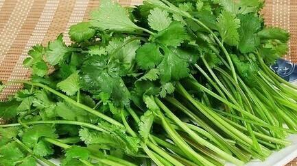 香菜的保存方法