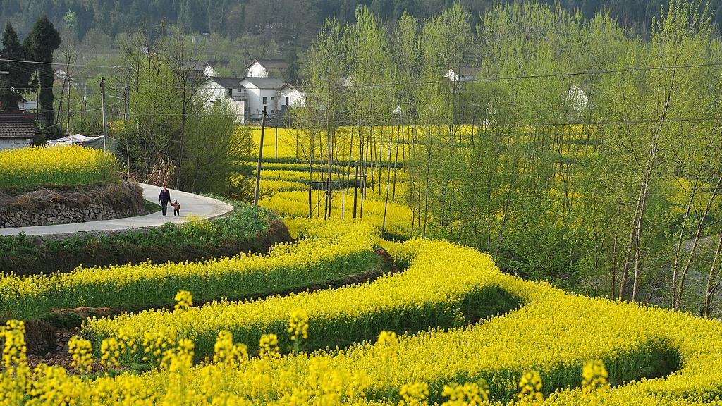如果村民不选村书记当村主任怎么办？