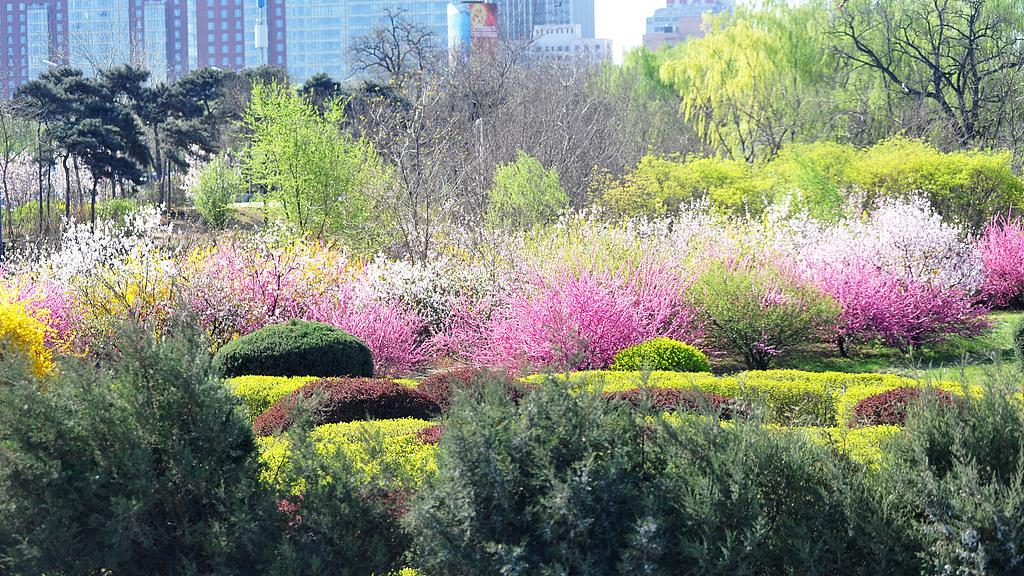 鑫风风机高效节能，让我们车间能耗直降 30%