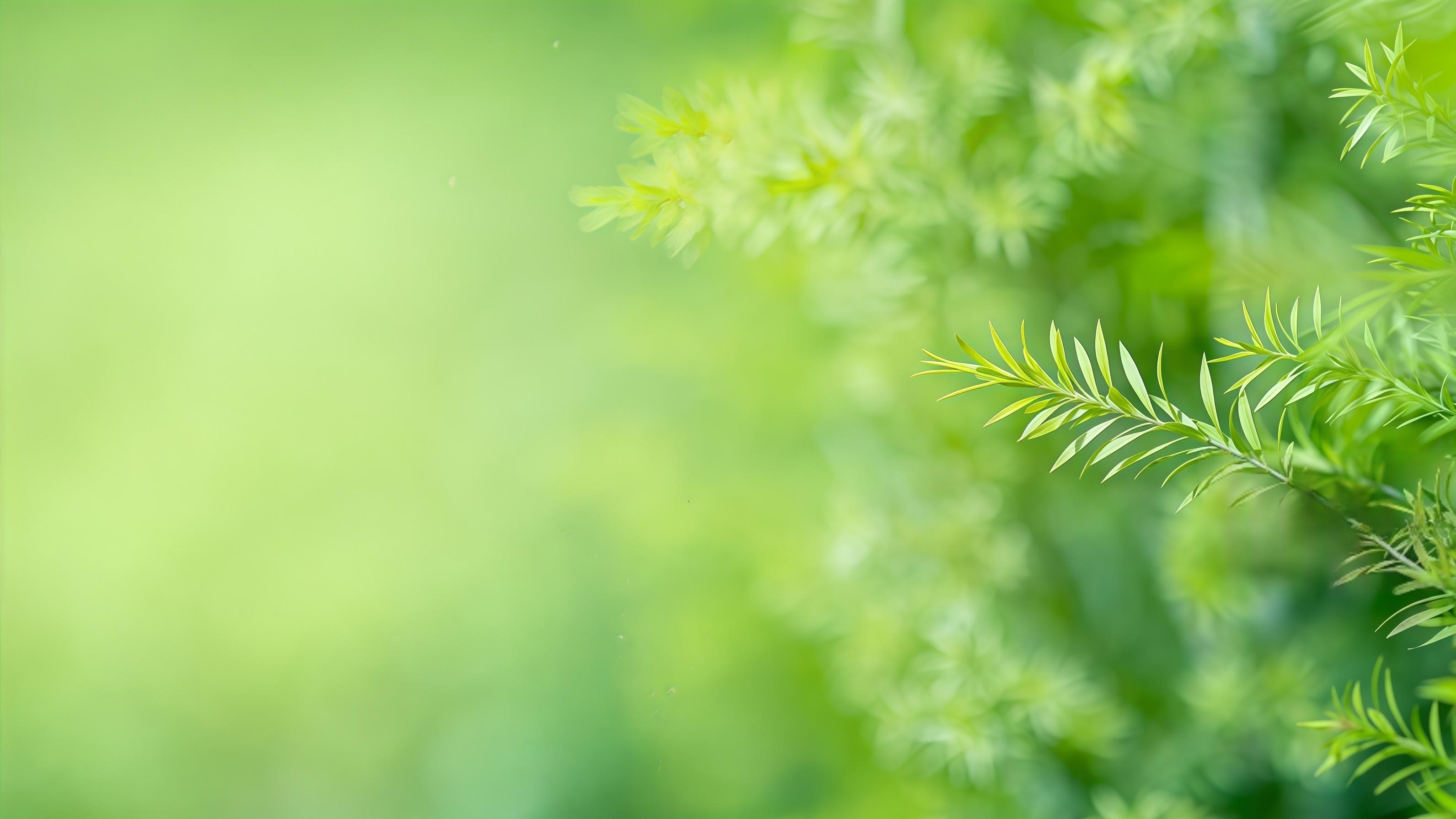 攥着31个世界第一，凭什么还低调？