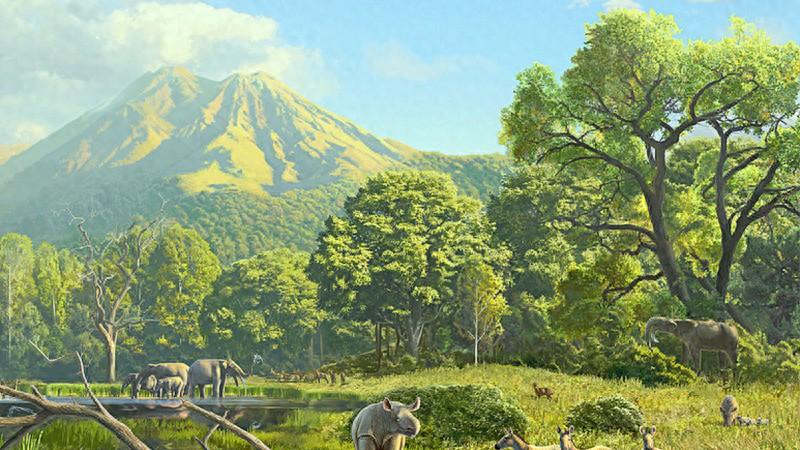 如果你走进侏罗纪森林，会看到什么？1.5亿年前的真实世界