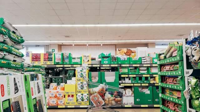 长脑子最快的4个方式，0成本超简单，寒假快让孩子做起来