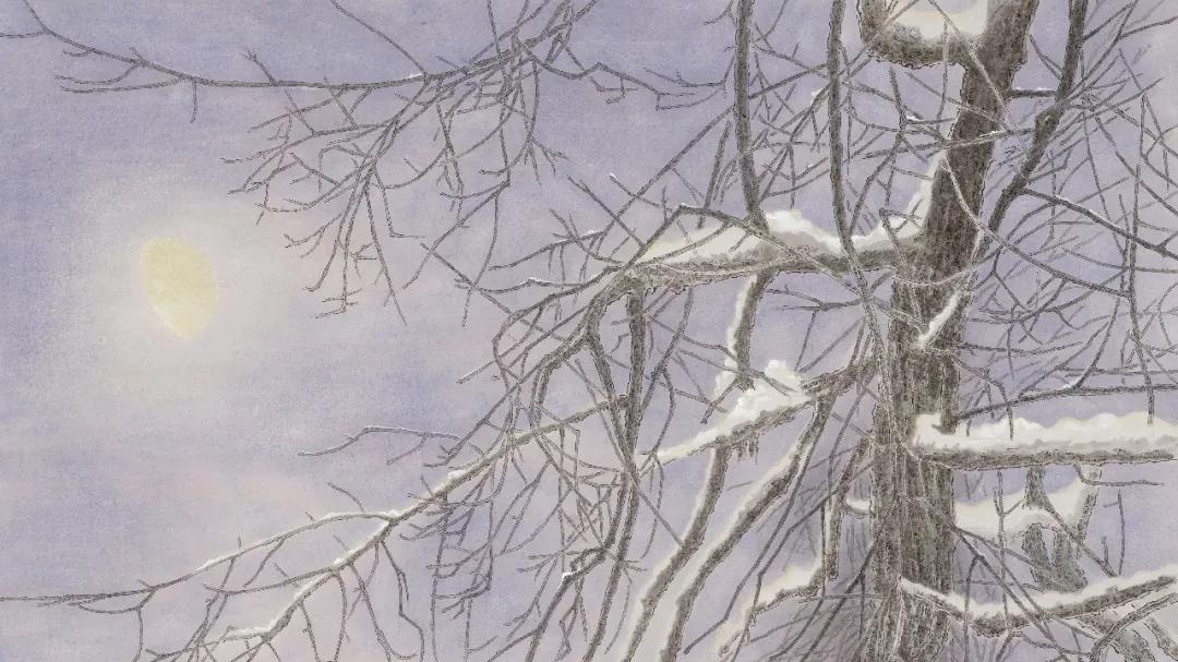 申佳佳｜月下一回眸，已是四时心