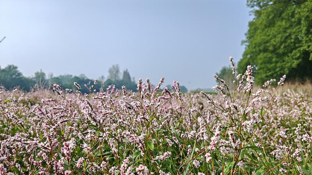 说实话，我家那WiFi现在都快成公共资源了