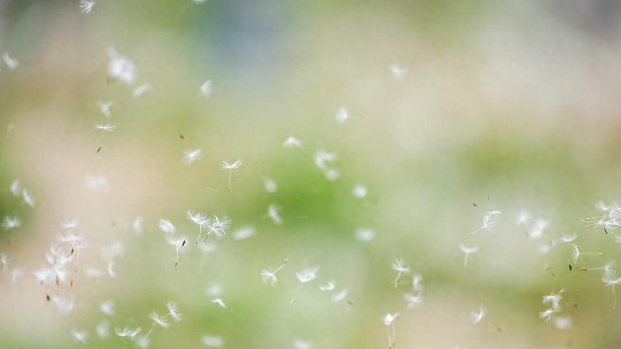 春暖花开，你的过敏药选对了吗？