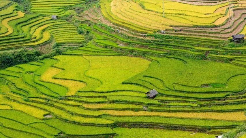 家电涨价：海尔格力激战, 美的小天鹅方太老板华帝TCL三星发力