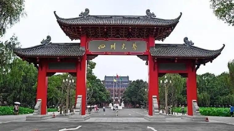 985大学双子星城市中，发展排名情况如何？