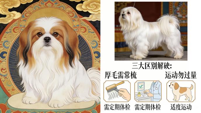 西藏梗全解析：雪域高原的神圣伴侣