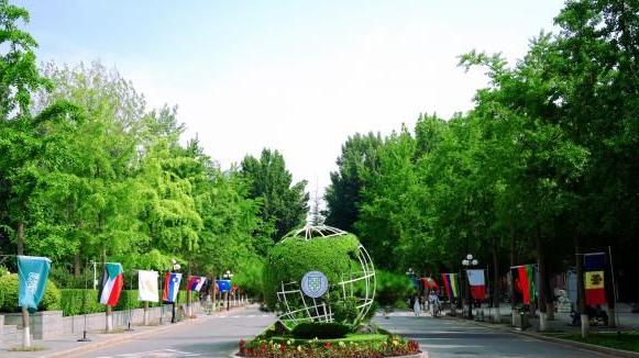 冲刺第三轮双一流，北京语言大学达标率超高，只差临门一脚！