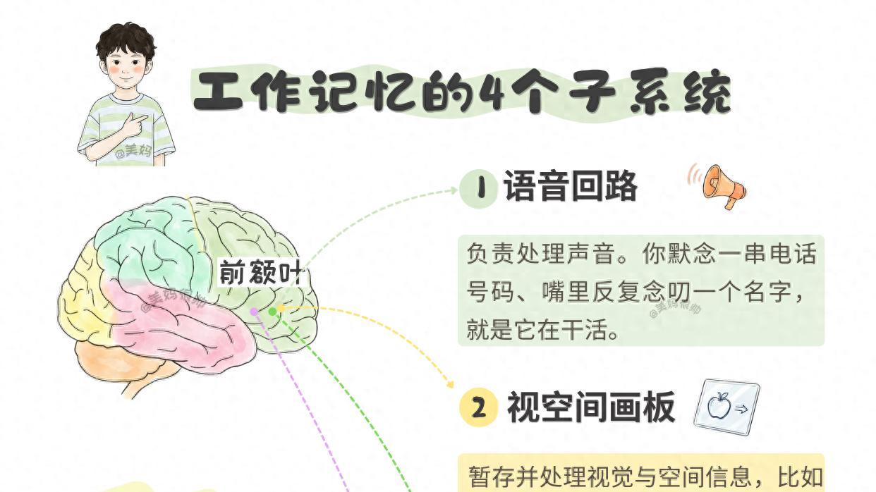 学霸为什么越学越轻松？关键是工作记忆！6招在家就能练