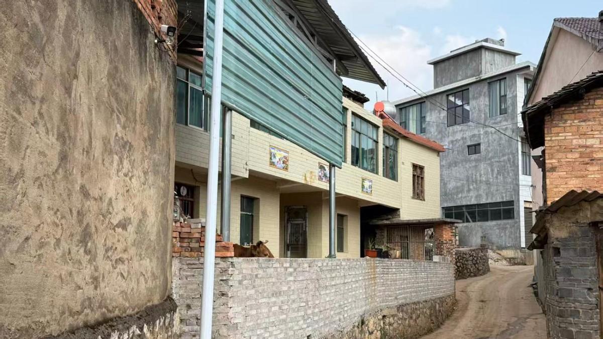 14岁初中生杀害同学案代理思考：监护失职应引入惩罚性赔偿