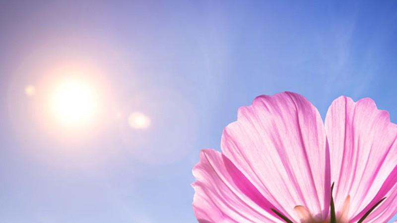 做一个“心力觉醒的人”