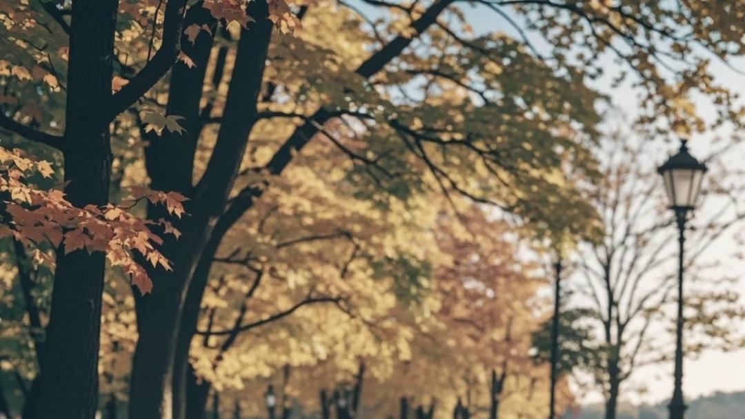 出门在外困难时这几个地方过夜